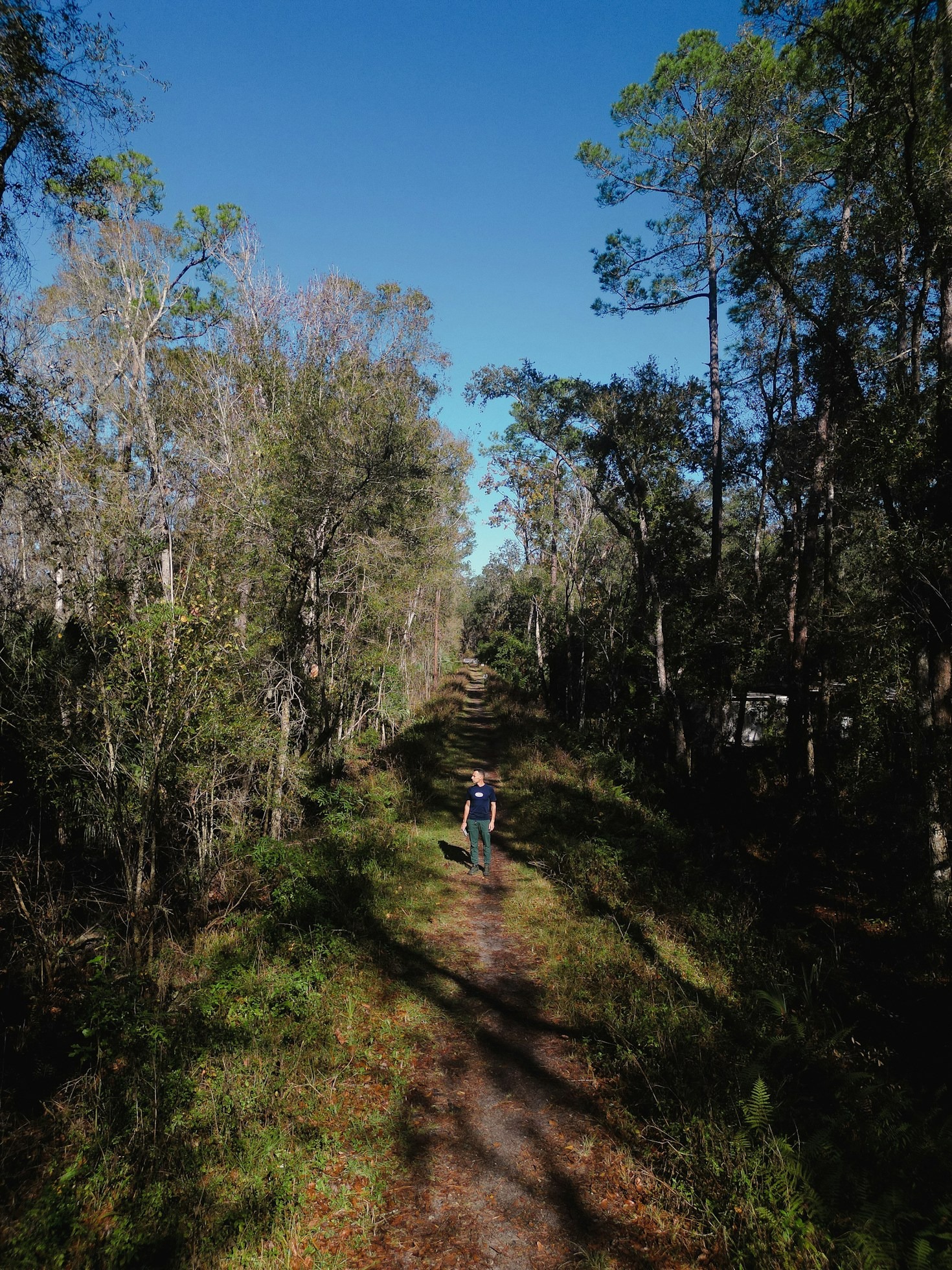 Fordele ved personlig udvikling for din sundhed